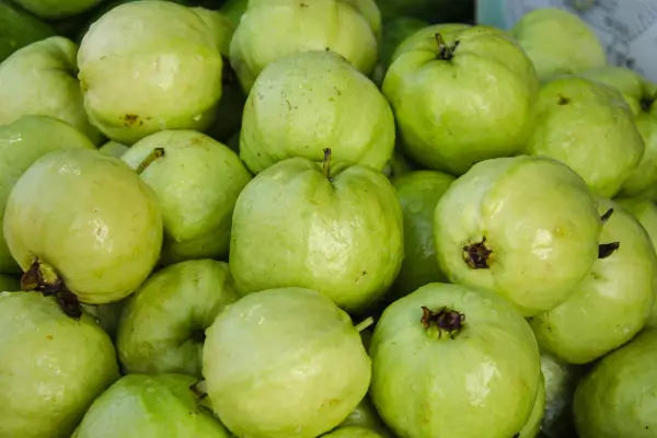 doce caseiro de goiaba